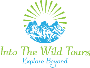 Into The Wild Tours logo