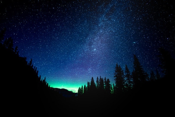 Stargazing star-filled night sky with the Milky Way over silhouetted trees in Banff National Park.