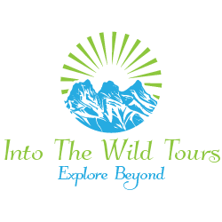 Into The Wild Tours logo