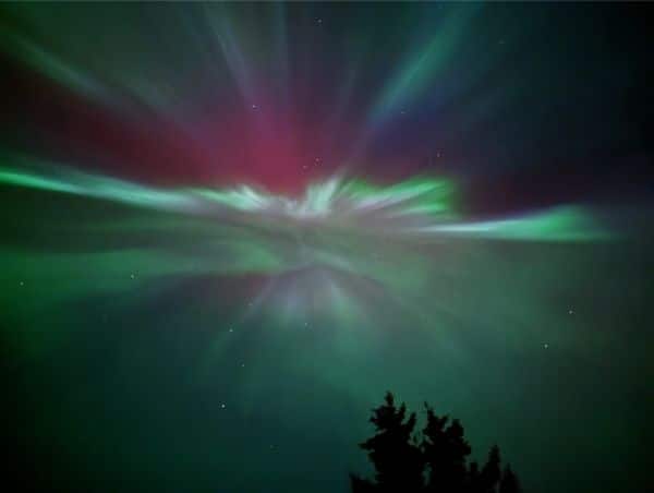 Aurora borealis with green and pink hues above Banff National Park during Into the Wild Tours stargazing experience.
