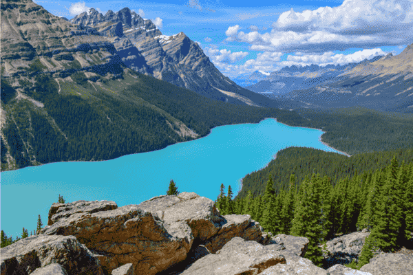 Scenic view of Peyto Lake with turquoise waters surrounded by mountains in Banff National Park, Canadian Rockies