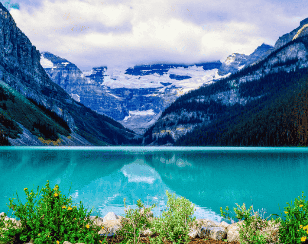 Lake Louise with turquoise waters, lush vegetation in the foreground, and the Victoria Glacier surrounded by dramatic mountain peaks.