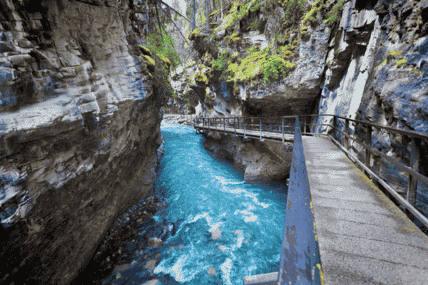 View of Johnston Canyon in summer featuring turquoise creek, rocky canyon walls, and a scenic walkway, part of Into the Wild summer tour offerings.