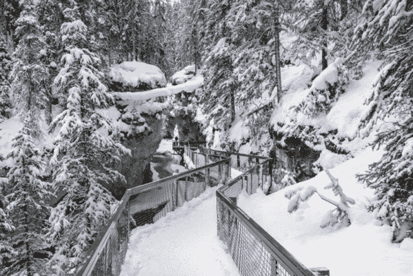A snow-covered pathway with railings leading through the picturesque Johnston Canyon in winter, surrounded by snowy trees and frozen landscapes.