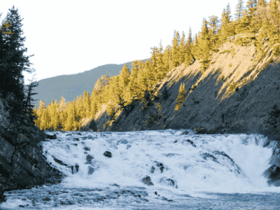 Bow Falls cascading over rocky ledges with forested slopes in Banff National Park.